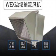 边墙排风机WEX-900D6-25000立方 3KW 防腐做环氧防腐油漆