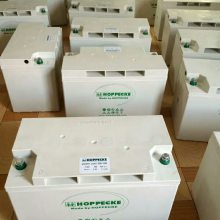 ԭװɱ SB12V100 ά 12V100AH UPS/EPSǦά