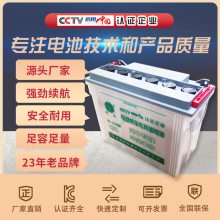 M-220Ǧ12V95AhҺص綯ֳ̯