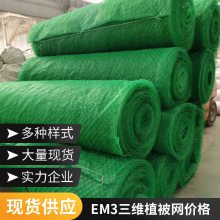 世杰三维固土网垫 黑色绿色植草护坡三 维植被网 绿化效果好