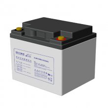 ʿDJM1238Sֱ12V38AHǦάUPSԴ