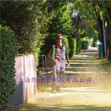 ŷBV901ʽɭ·ﴵѩ
