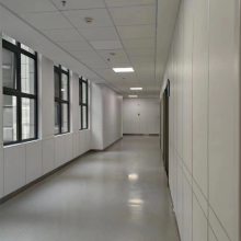 碳晶木飾面 竹木纖維集成墻板 碳晶實(shí)芯集成墻板