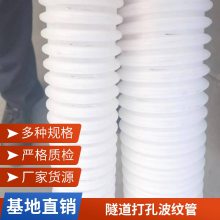 DN/ID50隧道用排水盲管 内径100mm铁标防结晶双壁打孔波纹管