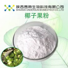 椰子粉*** 昂煦椰子提取物固体饮料标准SC备案工厂椰子果粉