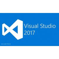 Visual Studio Professional|||||ɹ|۸|