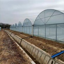 江西瑞昌蓝莓育苗智能塑料温室连栋大棚管配件抗风