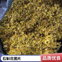 天然药材石斛花 无硫中药材吊兰花 原材料太阳花出售