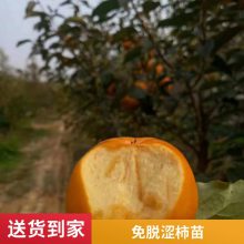 �ԼҴ����Ә��� �������� �a(ch��n)�ؼ޽���¶������a(ch��n)���� ���***�����