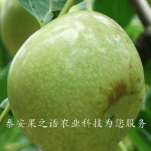 硢1š1ŹӦ