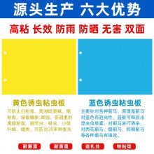 如何正确使用粘虫板