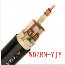 ʽϵ WDZBN-YJY0.6/1KV 4*70+1*35ͭо±ͻ