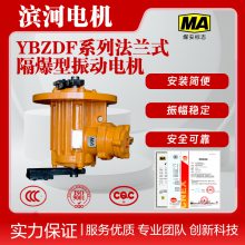 滨河YBZDF-10-4系列振动电机,小巧耐用球墨铸铁机壳设计