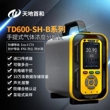 TD600-SH-B-H2ʽǿɶһ