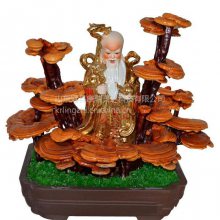 盆栽小菇期灵芝盆景养护 康瑞灵芝盆景 灵芝工艺品摆件 冠县灵芝盆景批发 盆栽小菇期灵芝盆景养护 康瑞灵芝盆景 灵芝工艺品摆件 冠县灵芝盆景批发