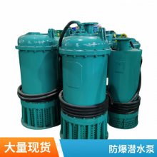 不锈钢叶轮单双吸矿用卧式潜水泵_滚轮式_高压_6KV_10KV-奥特泵业