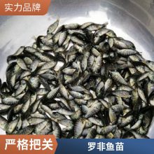 󲻲޷ ޷ ֳ޷