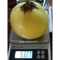 Իƽ磭ƽ11