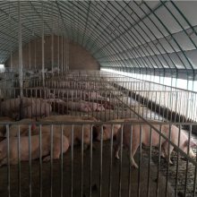 帅赫(图)-养殖大棚-大棚