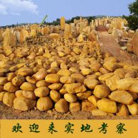 园林石 黄色园林石 草地置景点缀石材 ***黄蜡石造景石材
