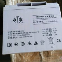 ˫6-GFM-38/12V38AH ֱ