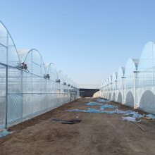 天津飞龙制管牛头牌25*1.5热镀锌大棚管,防腐抗碱折弯锌层260-300克10-15年