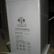 ˫GFM-1000/2V1000AH