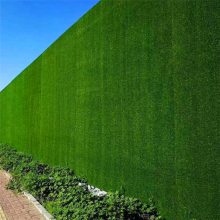 深三色20mm墙面人工草坪 围挡绿色草皮 施工彩钢板绿草坪