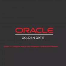 ԭOracle Goldegate ׹ݿ ݸ