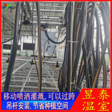 昱泰 温室大棚节水灌溉设备 育苗移动喷灌机 YTWSPG2068