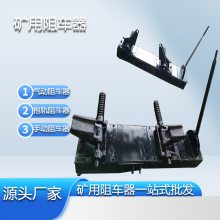 ֶ賵 賵 ˫賵 