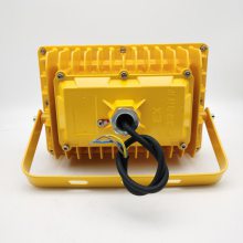 LED40W-ExdIICT6-IP65-AC220Vled