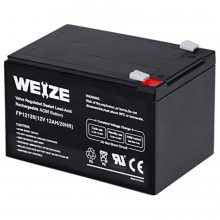 WEIZEFP1250 άǦ12V***H/20HRUPS/EPSԴ