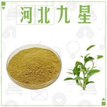 食品级儿茶素厂家 绿茶多酚食用添加剂抗氧化剂