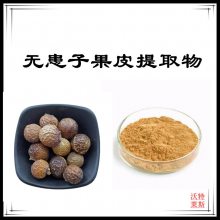 无患子果皮提取物10:1 多规格可定制 速溶粉 喷雾干燥 沃特莱斯生物