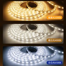 led޺l ɫ׃z ܿ220v߉X۟
