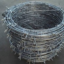 热镀锌刺绳网 防盗窃隔离网生产 刺铁丝防护网定做