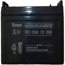 滨松工业蓄电池FM12-55AH 12V55AH UPS电源配套电瓶