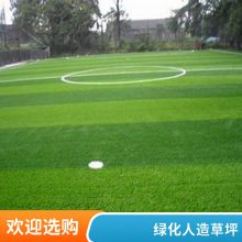 加密草丝 彩色人造草坪 楼顶绿化装饰 加厚双层背胶 纵锐翔