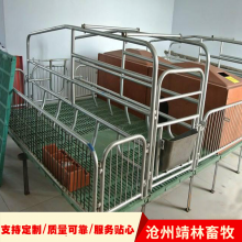 复合板保温箱母猪产床 母猪用分娩床新型猪产子床养猪设备