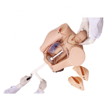 ︥ҽƸ߼ۺϼܲģ