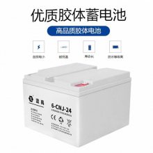 12V12AH 蓝禹蓄电池应急电源储能蓄电池6-CNJ-12流线型结构