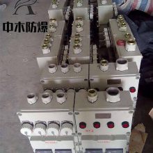 dip粉尘防爆电源插座箱厂家按图纸定做