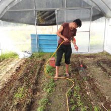 湖南郴州蔬菜大棚 温室蔬菜大棚 蔬菜大棚建设