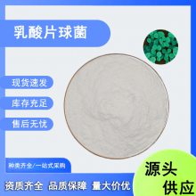 现货批发乳酸片球菌100亿益生菌冻干粉饲料发酵乳酸菌粉原料
