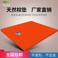 ش涨ȫش泧ң