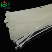 Ʒɫߴ ʽ4 250mm250ɫ