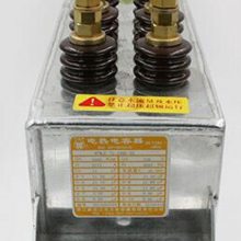 供应 电热电容器 型号 RFM0.75-1000-1S 库号 M407680