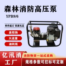 ˮYPB9/6̧ʽɭѹũȳˮ