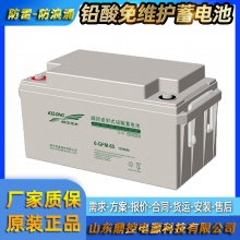 ƻ6-GFM-24Ǧά12V24AHܱʽUPSϵԴذװάѲ